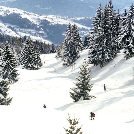 Woodland Village Anzere Ayent Exterior foto